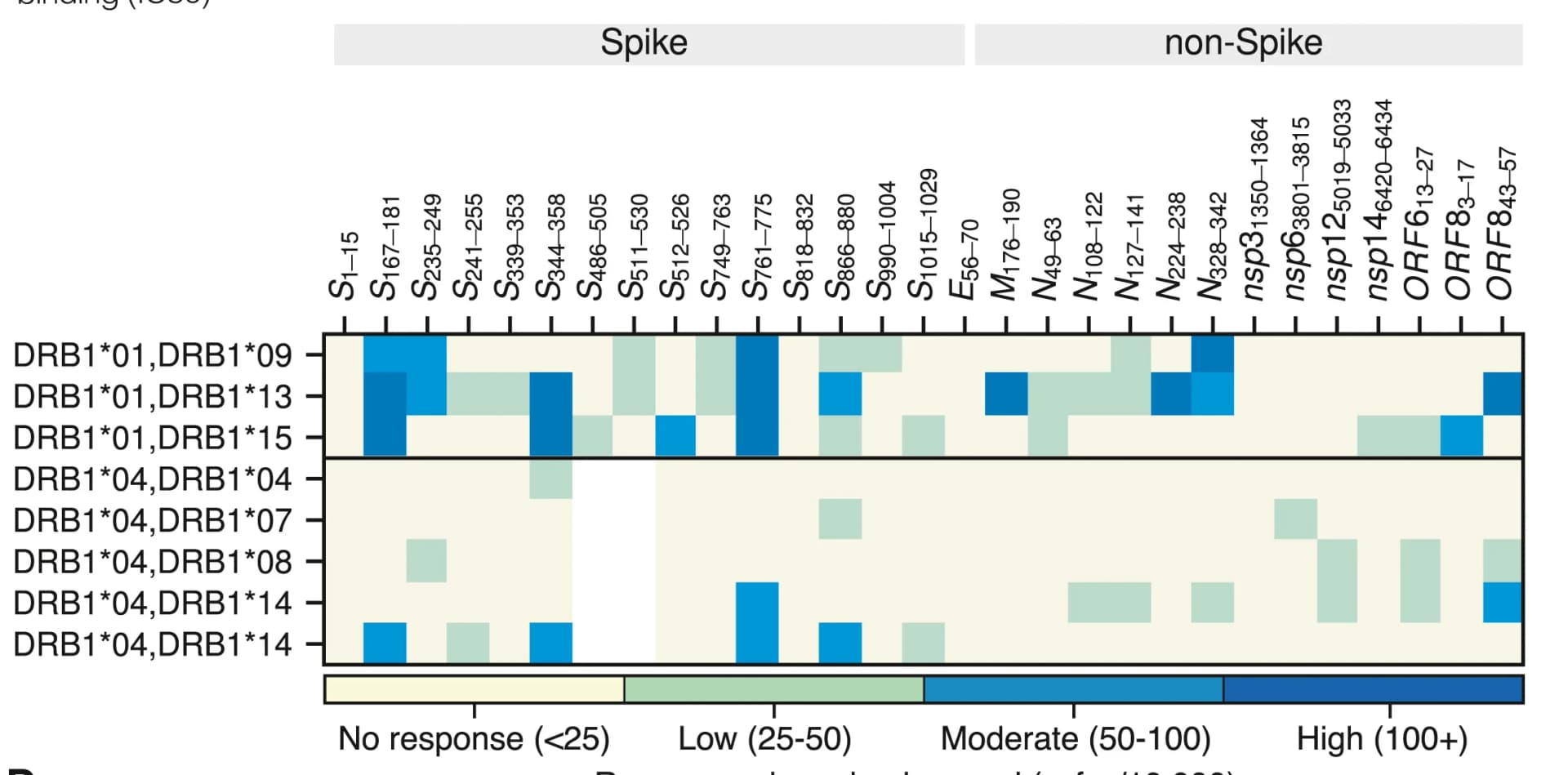 Open access visualization of Heatmap, IFN-γ ELISpot Data, HLA-DR1+ Donors, HLA-DR4+ Donors, Peptide Response