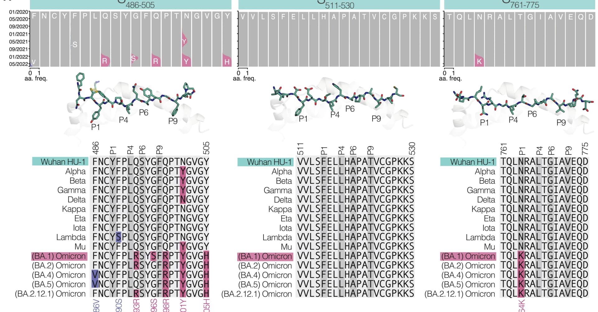 Open access visualization of Bar Plot, Sequence alignment, Epitope sequences, SARS-CoV-2 variants, Variant mutations