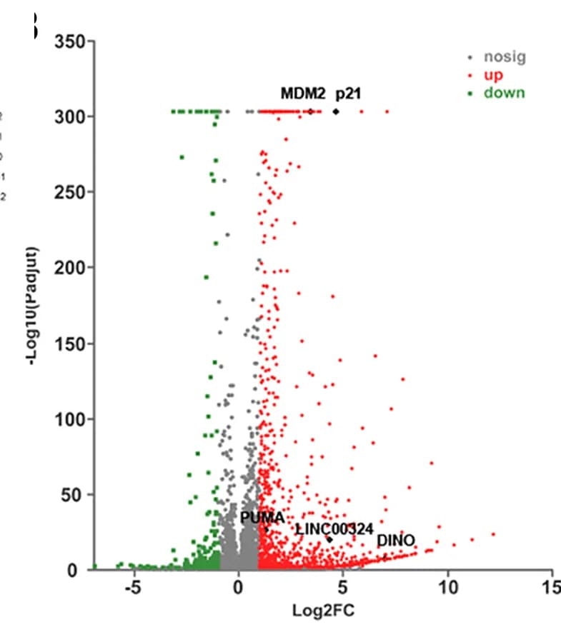 Open access visualization of Volcano Plot, Scatter Plot, Volcano Plots, Differentially Expressed Genes, H1299 Cells