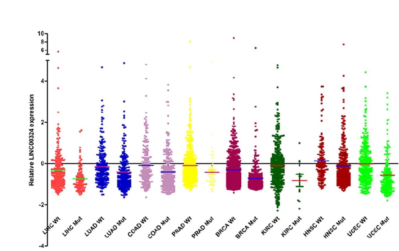 Open access visualization of Raincloud Plot, LINC00324, p53 Wild-Type, Mutant Tumor Tissues