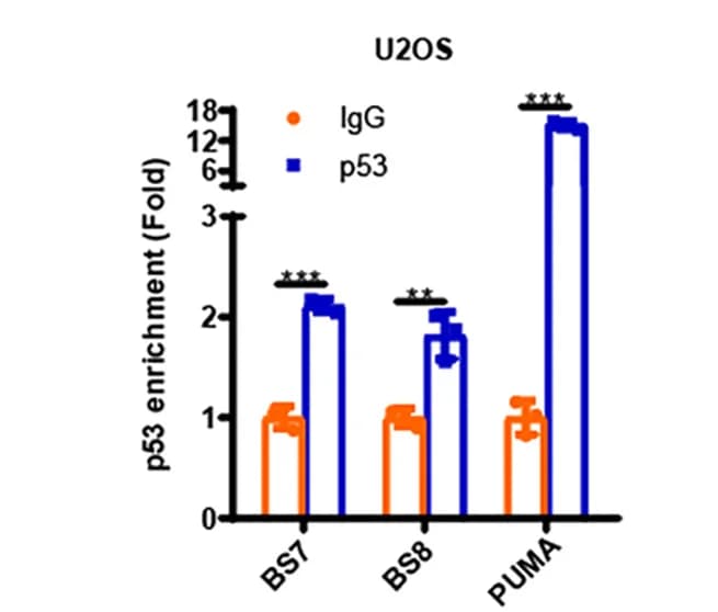 Open access visualization of Bar Plot, Error Bars, Clustered, ChIP-qPCR Analysis, p53 Binding