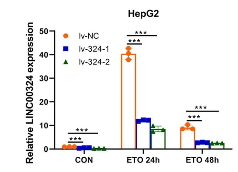 Open access visualization of Bar Plot, Error Bars, Clustered, Scatter Plot, HepG2 Cells