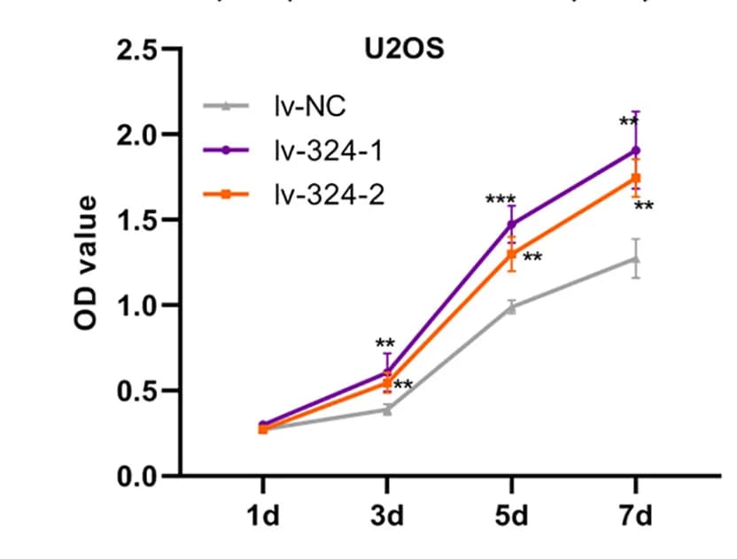 Open access visualization of Line Plot, Error Bars, Colony Formation, CCK-8 Assays, U2OS Cells