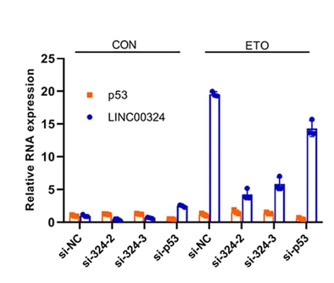 Open access visualization of Bar Plot, Error Bars, U2OS Cells, si-NC, si-324-2