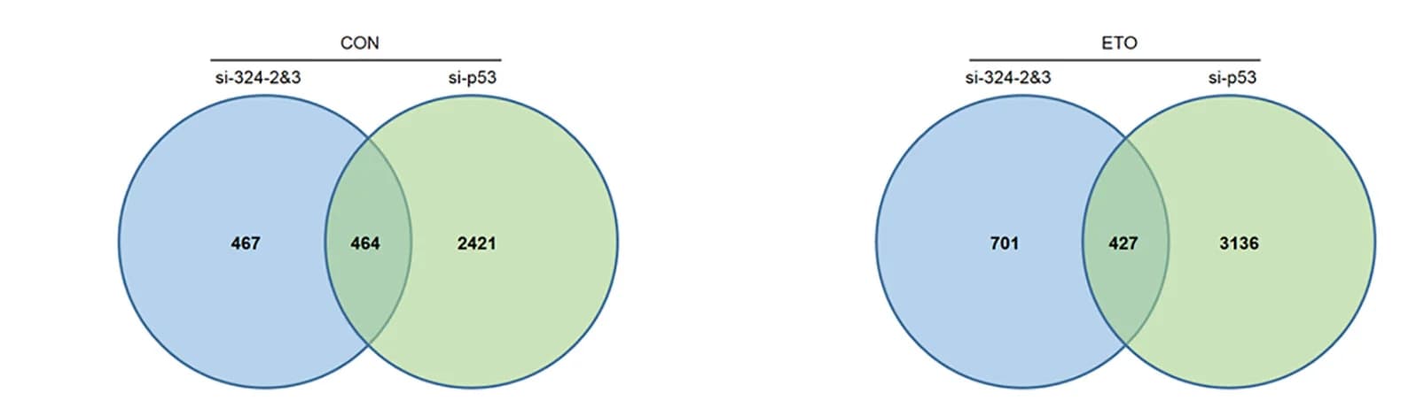 Open access visualization of Venn Diagram, Genes, LINC00324, p53, Normal Conditions