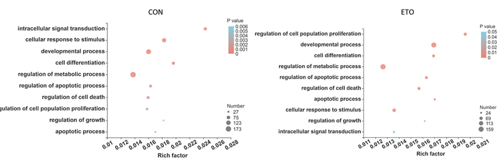 Open access visualization of Scatter Plot, Bubble Plot, Volcano Plot, Commonly Regulated Genes, Gene Ontology Analysis