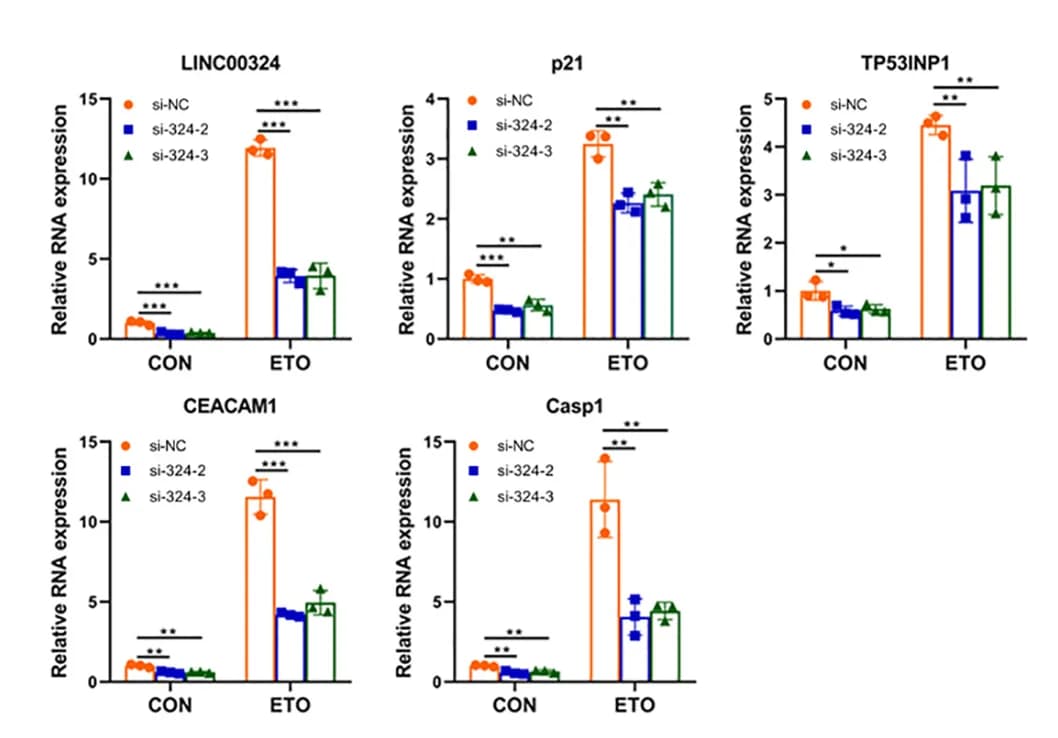 Open access visualization of Bar Plot, Error Bars, Clustered, Scatter Plot, U2OS Cells