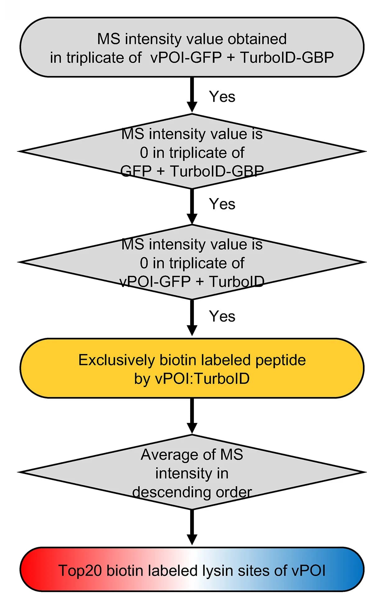 Open access visualization of Workflow, Flowchart, Biotinylation, ORF3a, M Protein