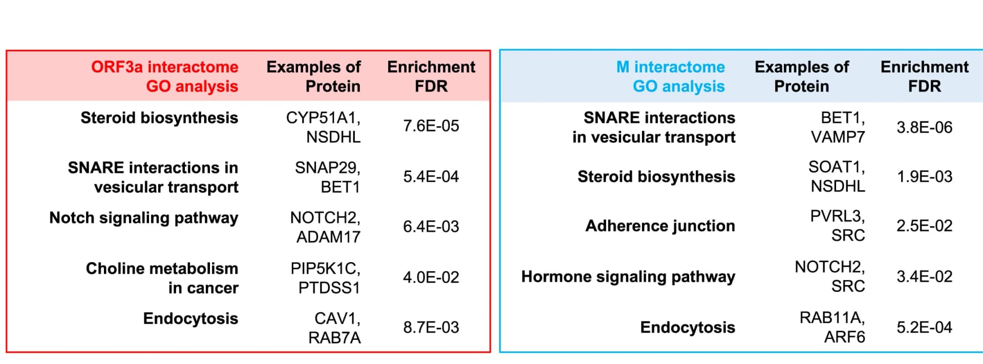 Open access visualization of Table Image, Gene Ontology, ORF3a, M Protein, Interactome
