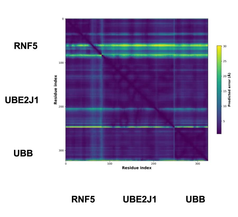 Open access visualization of Heatmap, PAE Plot, AlphaFold, Multimer Structure, RNF5