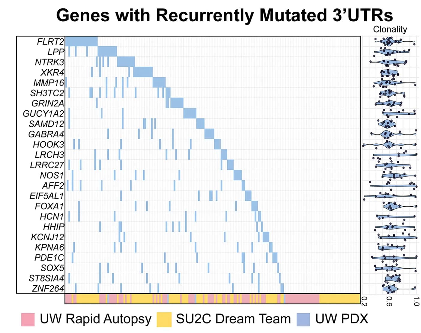 Open access visualization of Heatmap, Violin Plot, Genes, 3' UTR, Mutations