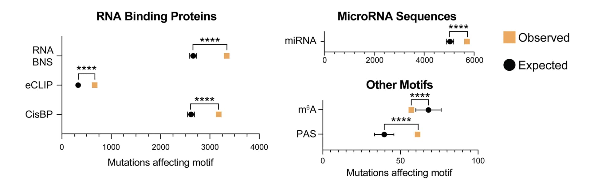 Open access visualization of Scatter Plot, Error Bars, In Silico Analysis, Mutations, 3' UTR