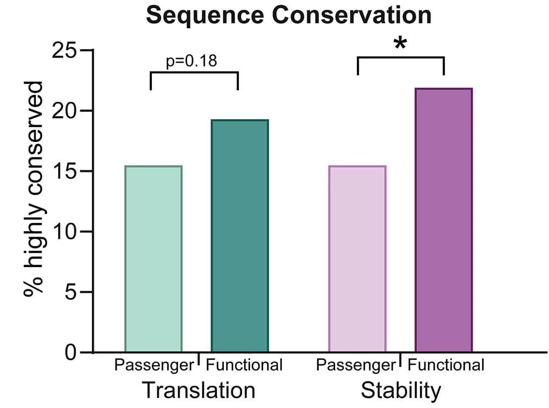 Open access visualization of Bar Plot, 3' UTR Mutations, Translation, Stability, Evolutionary Conservation
