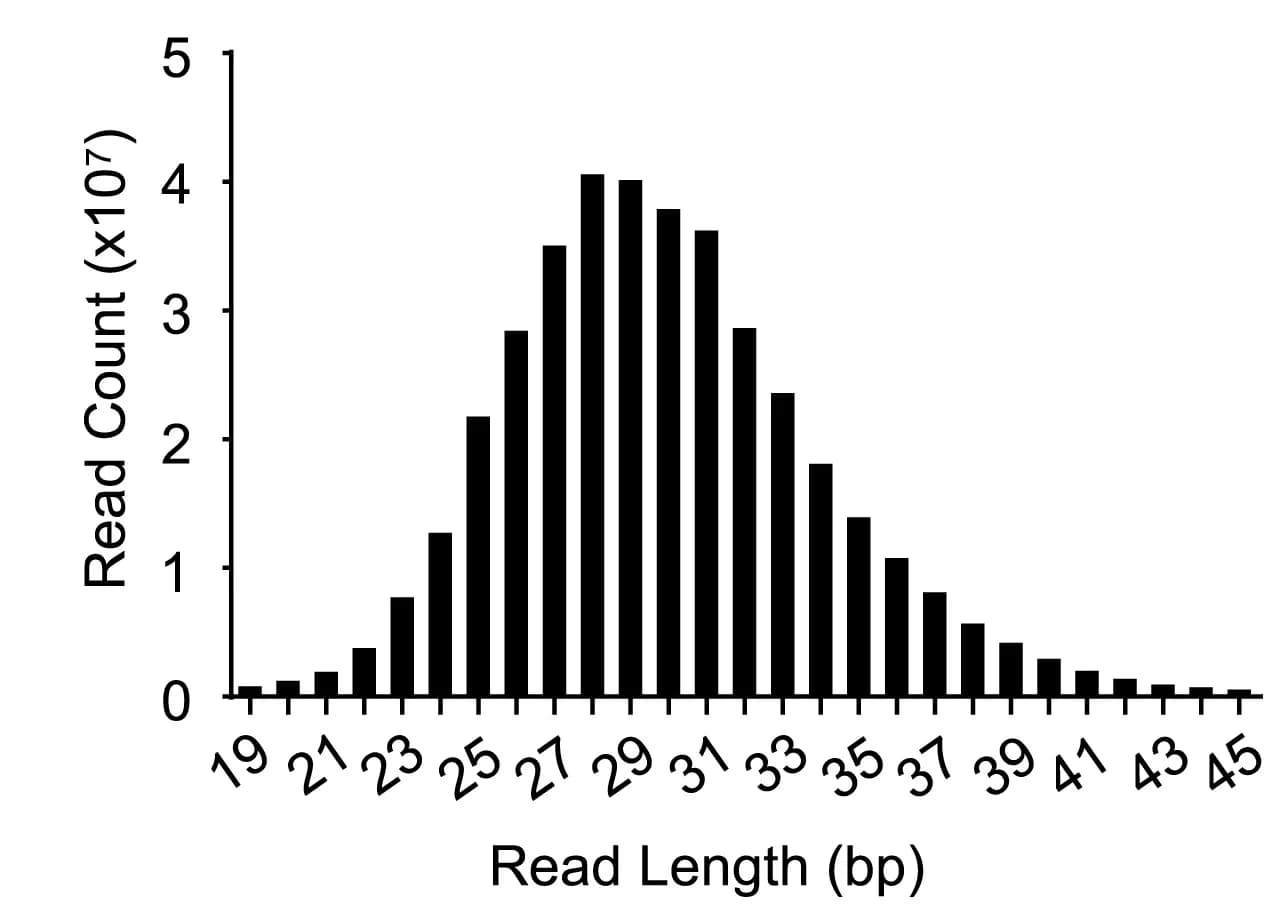 Open access visualization of Histogram, scDNA, Sequencing Data, THP-1 Cells, Read Length Distribution