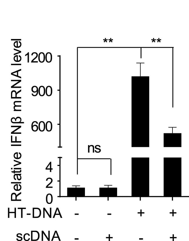Open access visualization of Bar Plot, Error Bars, RAW264.7 Cells, Herring Testis DNA, scDNA