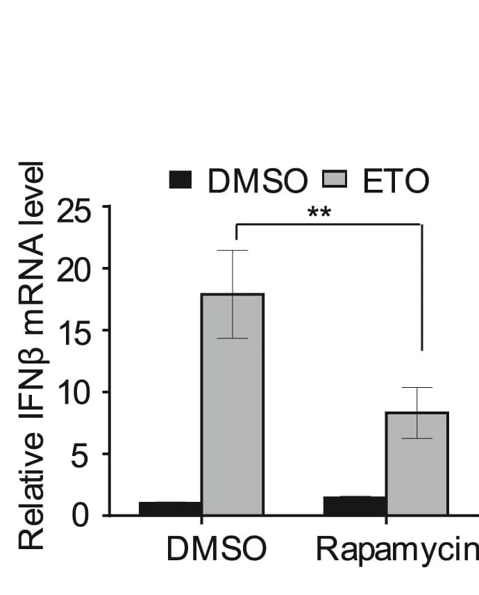 Open access visualization of Bar Plot, Error Bars, Clustered, RAW264.7 Cells, ETO
