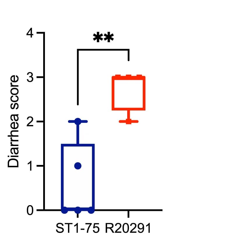 Open access visualization of Box Plot, Diarrhea Scores, Mice, Infection