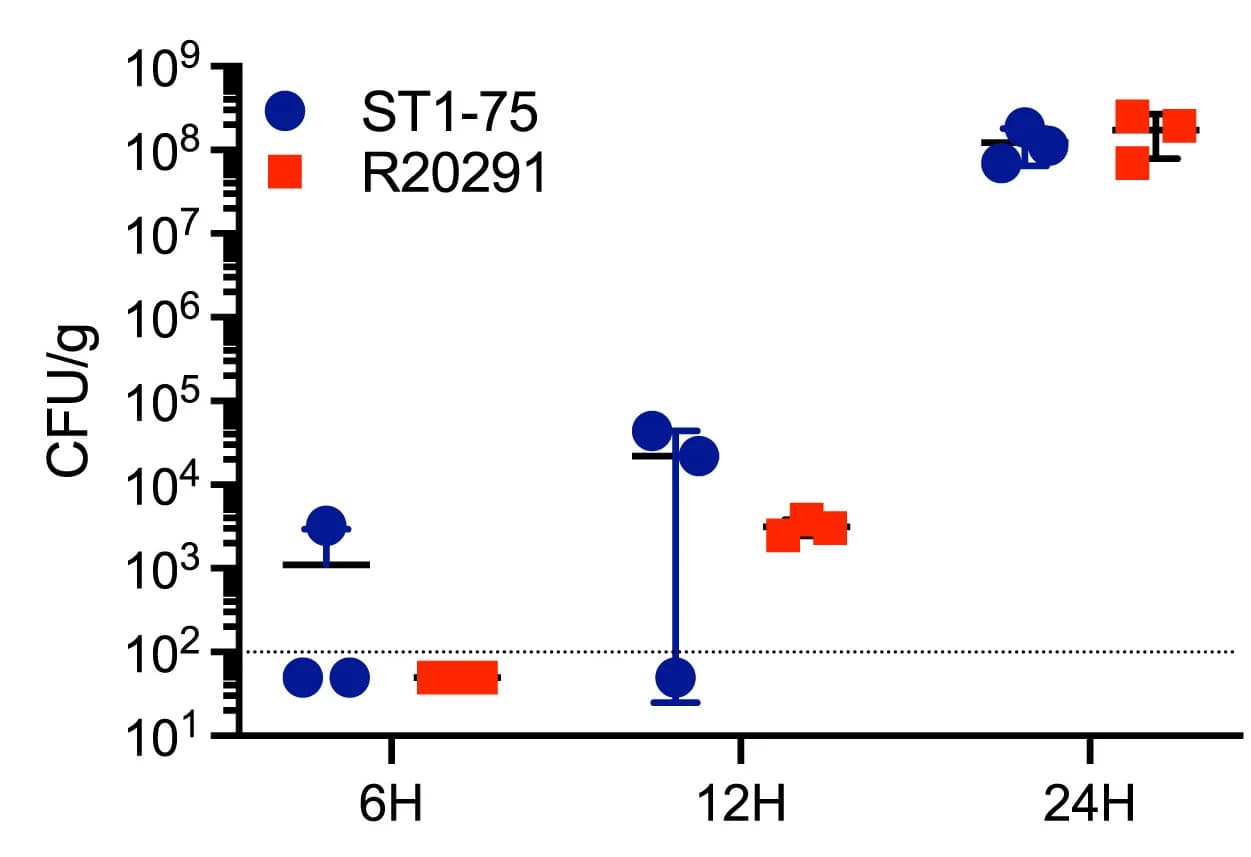 Open access visualization of Scatter Plot, Error Bars, Fecal Colony-Forming Units, Selective Agar, Infection