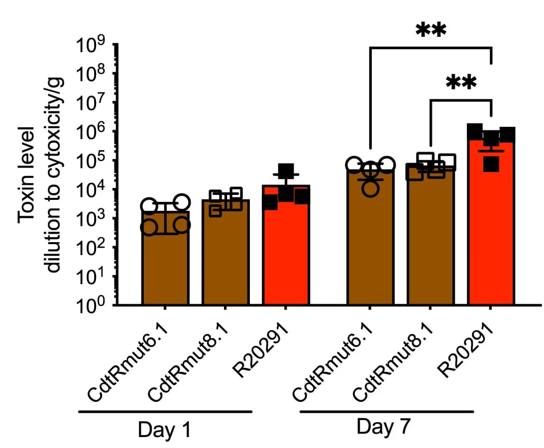Open access visualization of Bar Plot, Error Bars, Fecal Tcd Toxins, CHO Cell Rounding Assay