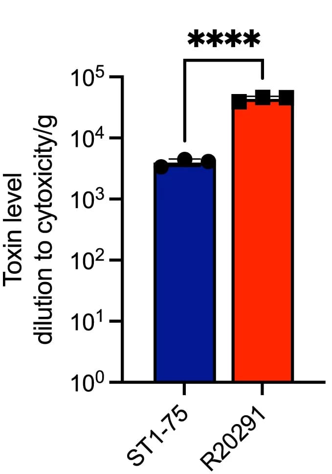 Open access visualization of Bar Plot, Error Bars, Cecal Tcd toxins, CHO cell rounding assay