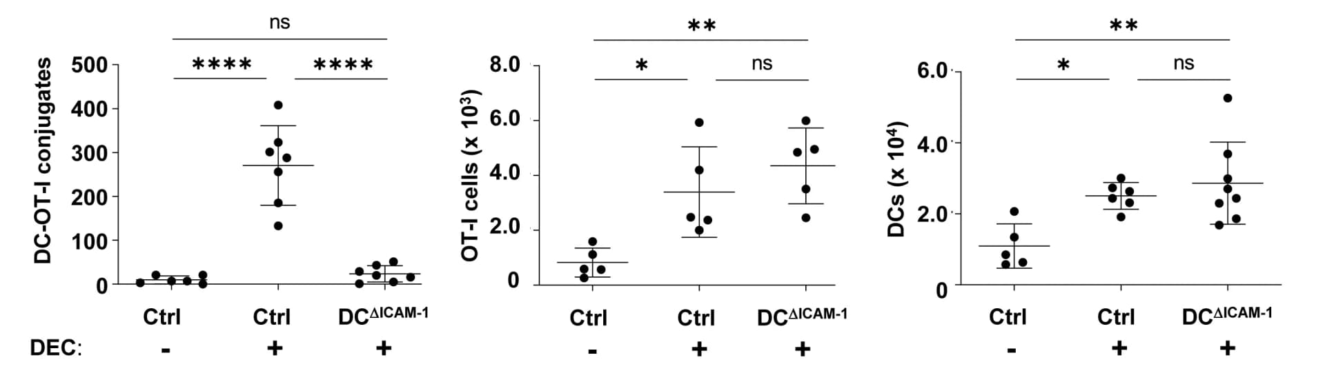 Open access visualization of Scatter Plot, Error Bars, Flow Cytometry, DC-T Cell Conjugates, Vaccination