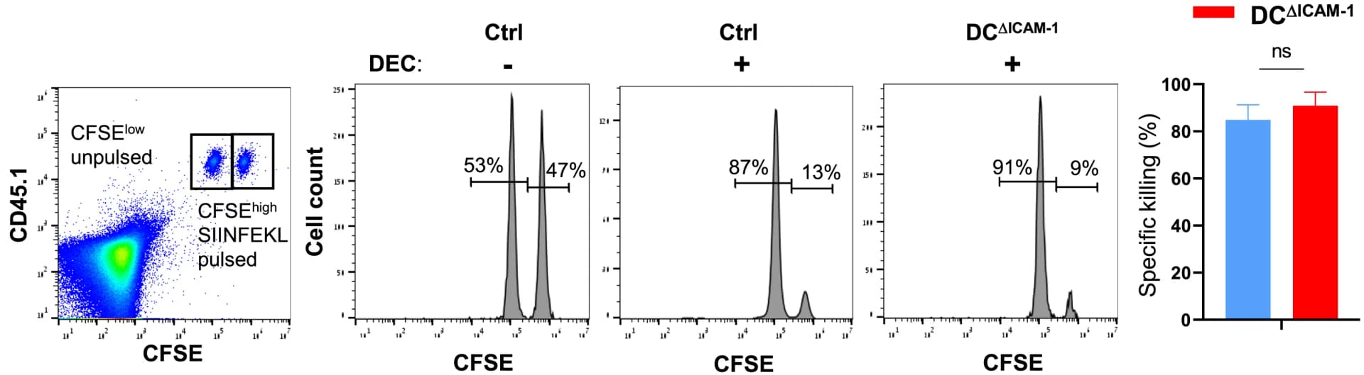 Open access visualization of Histogram, Bar Plot, Scatter Plot, CFSEhighCD45.1 Splenocytes, OVA Peptide