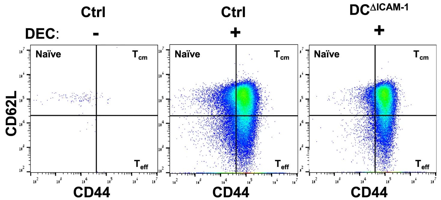 Open access visualization of Scatter Plot, Flow Cytometry, T Cells, Immunization, Lymph Nodes