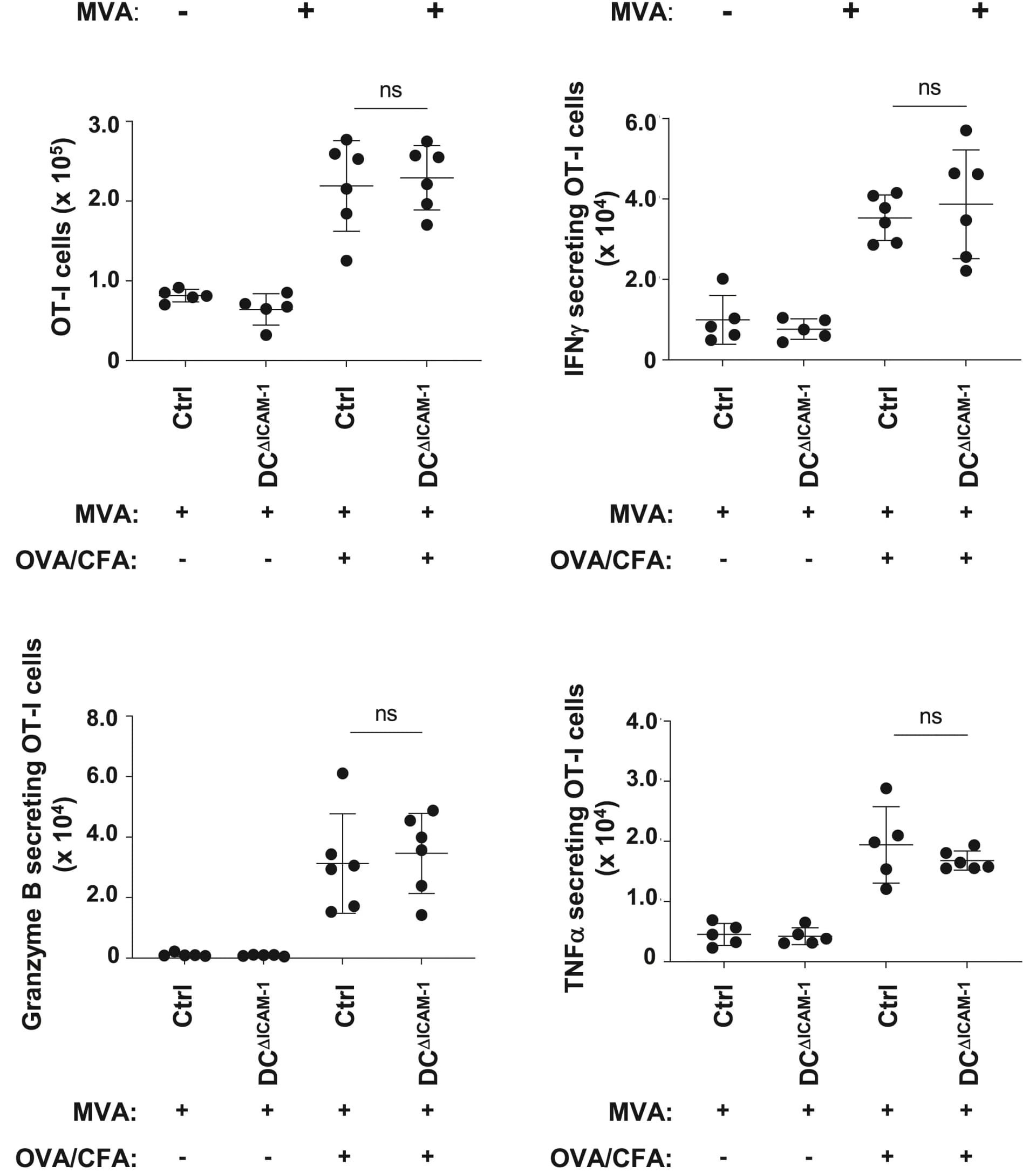 Open access visualization of Scatter Plot, Error Bars, Early Memory OT-I T Cells, Intracellular IFNγ, Granzyme B