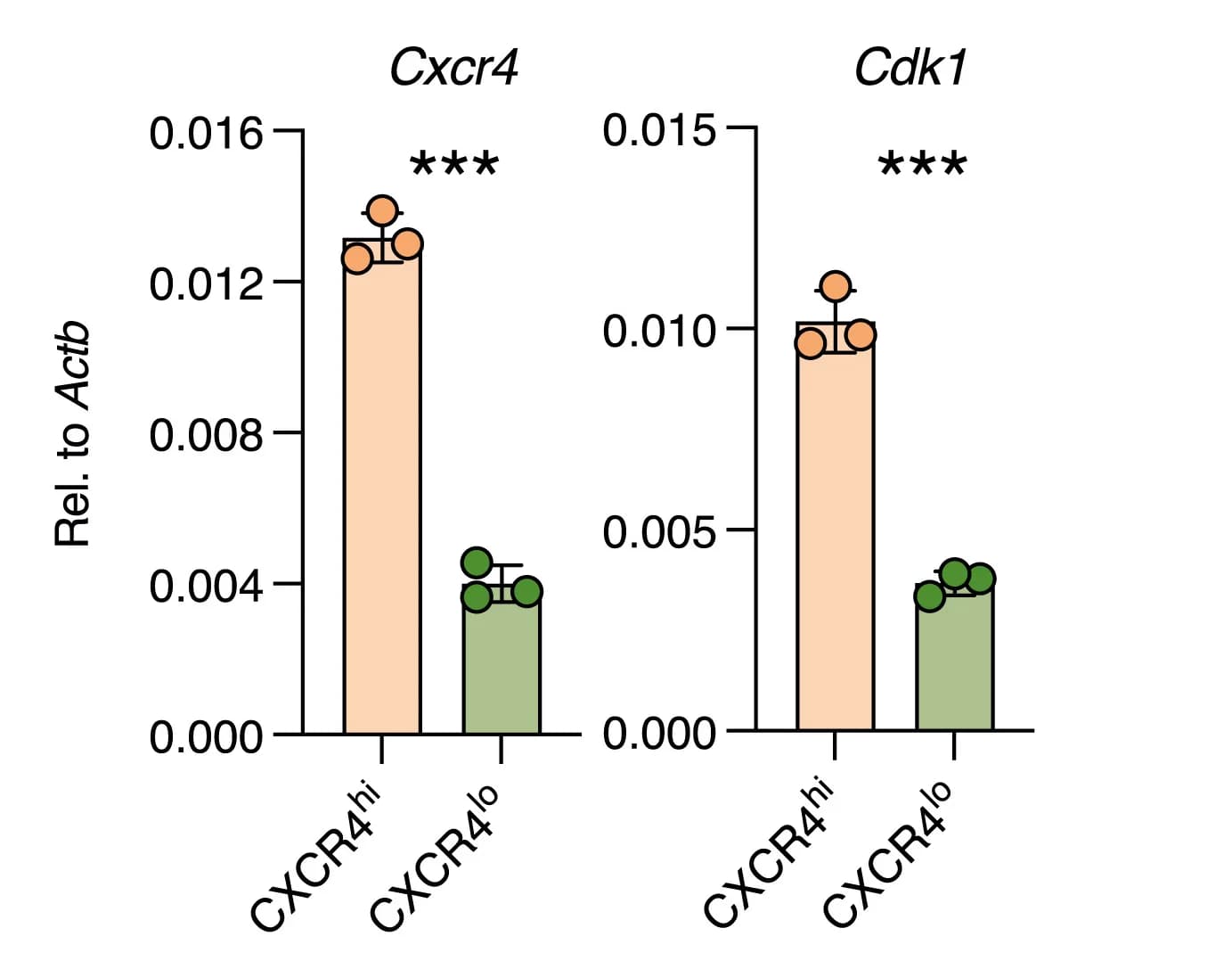 Open access visualization of Bar Plot, Error Bars, Clustered, Gene Expression, RT-qPCR