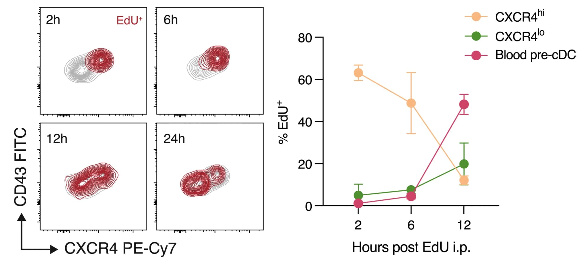 Open access visualization of Scatter Plot, Line Plot, Error Bars, Flow Cytometry, Femur Bone Marrow
