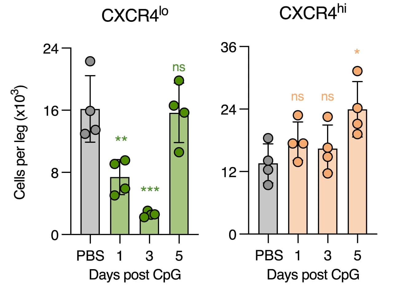 Open access visualization of Bar Plot, Error Bars, Scatter Plot, CXCR4hi pre-cDC, CXCR4lo pre-cDC