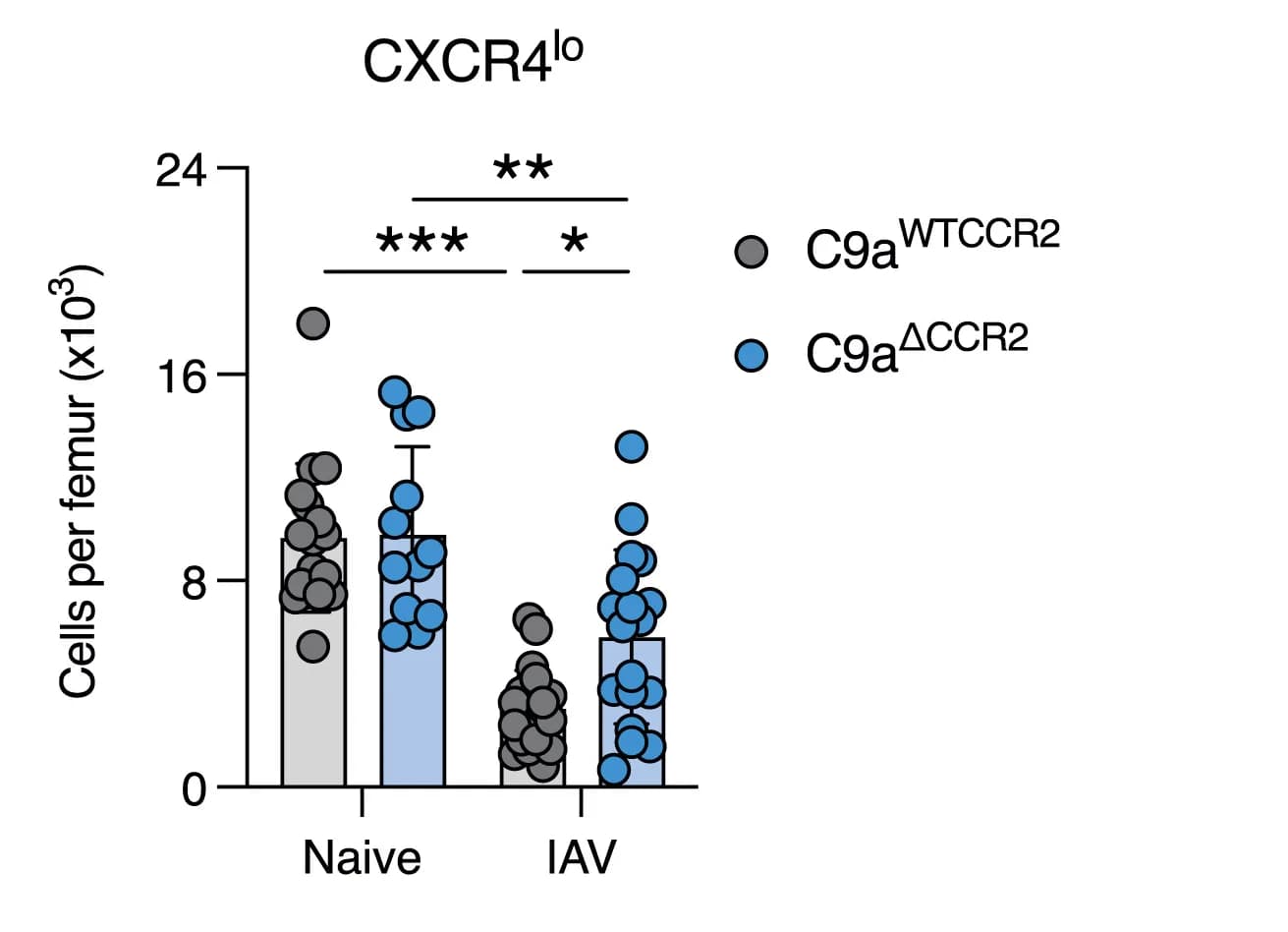 Open access visualization of Bar Plot, Scatter Plot, Error Bars, CXCR4lo, Pre-cDC