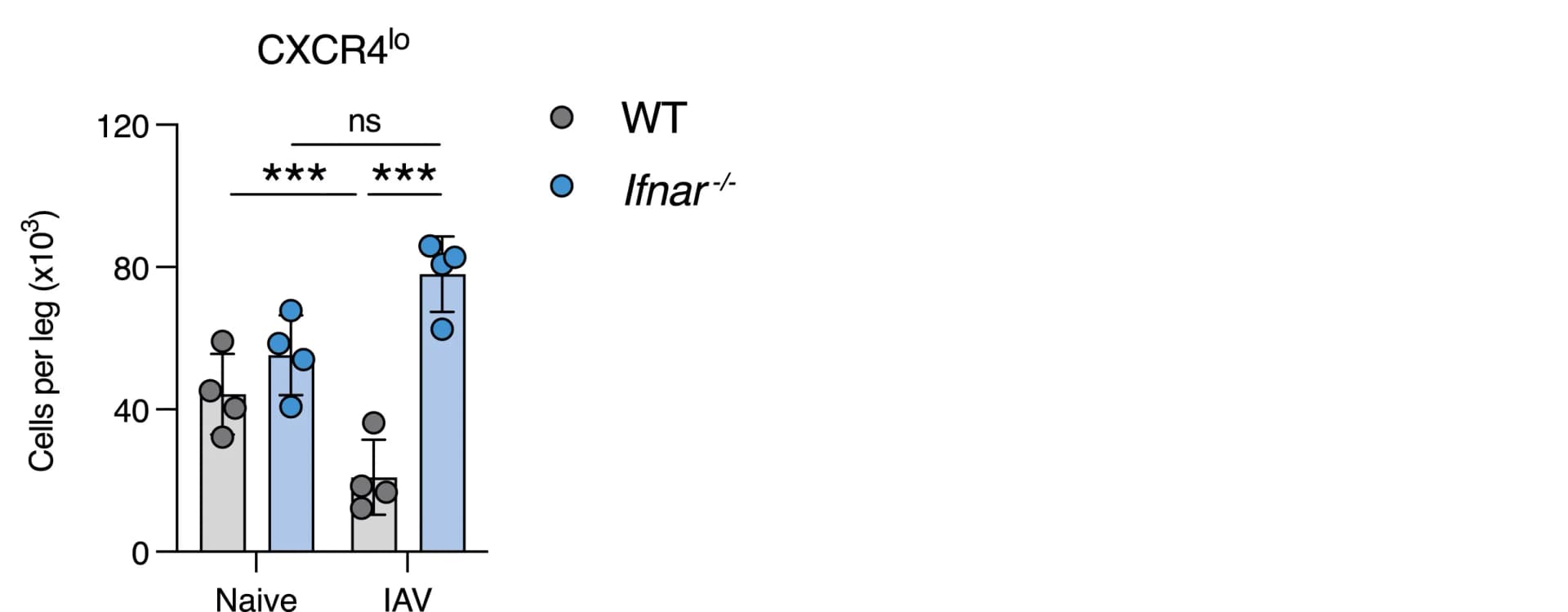 Open access visualization of Bar Plot, Error Bars, Scatter Plot, Quantification, CXCR4lo pre-cDC