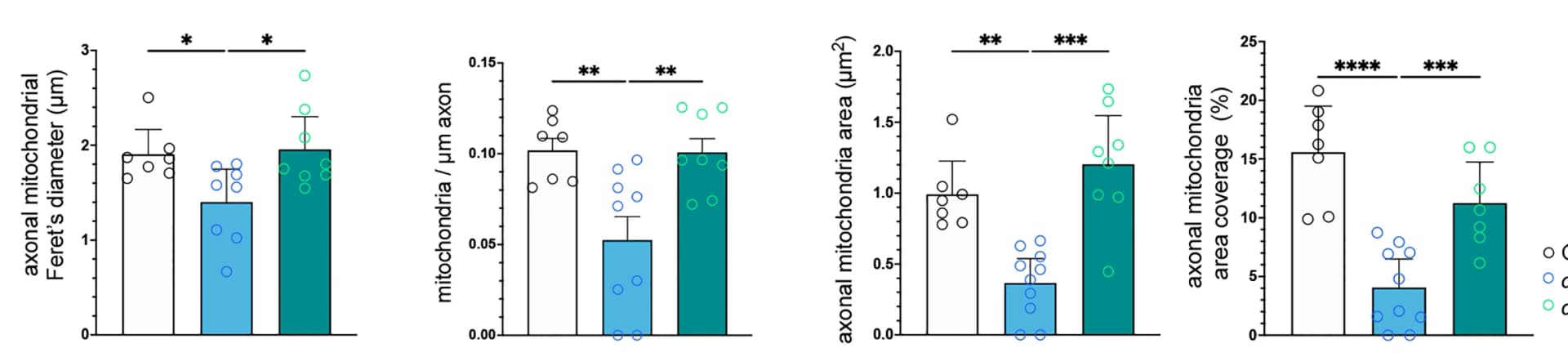 Open access visualization of Bar Plot, Error Bars, Scatter Plot, Mitochondrial Feret’s diameter, Axon