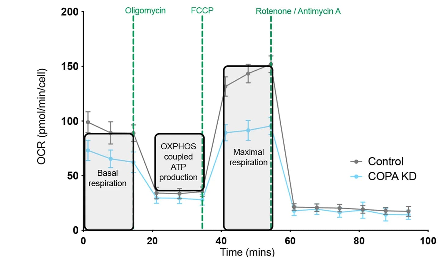 Open access visualization of Line Plot, Error Bars, Oxygen Consumption Rate, COPA, Seahorse XF Mito Stress Test