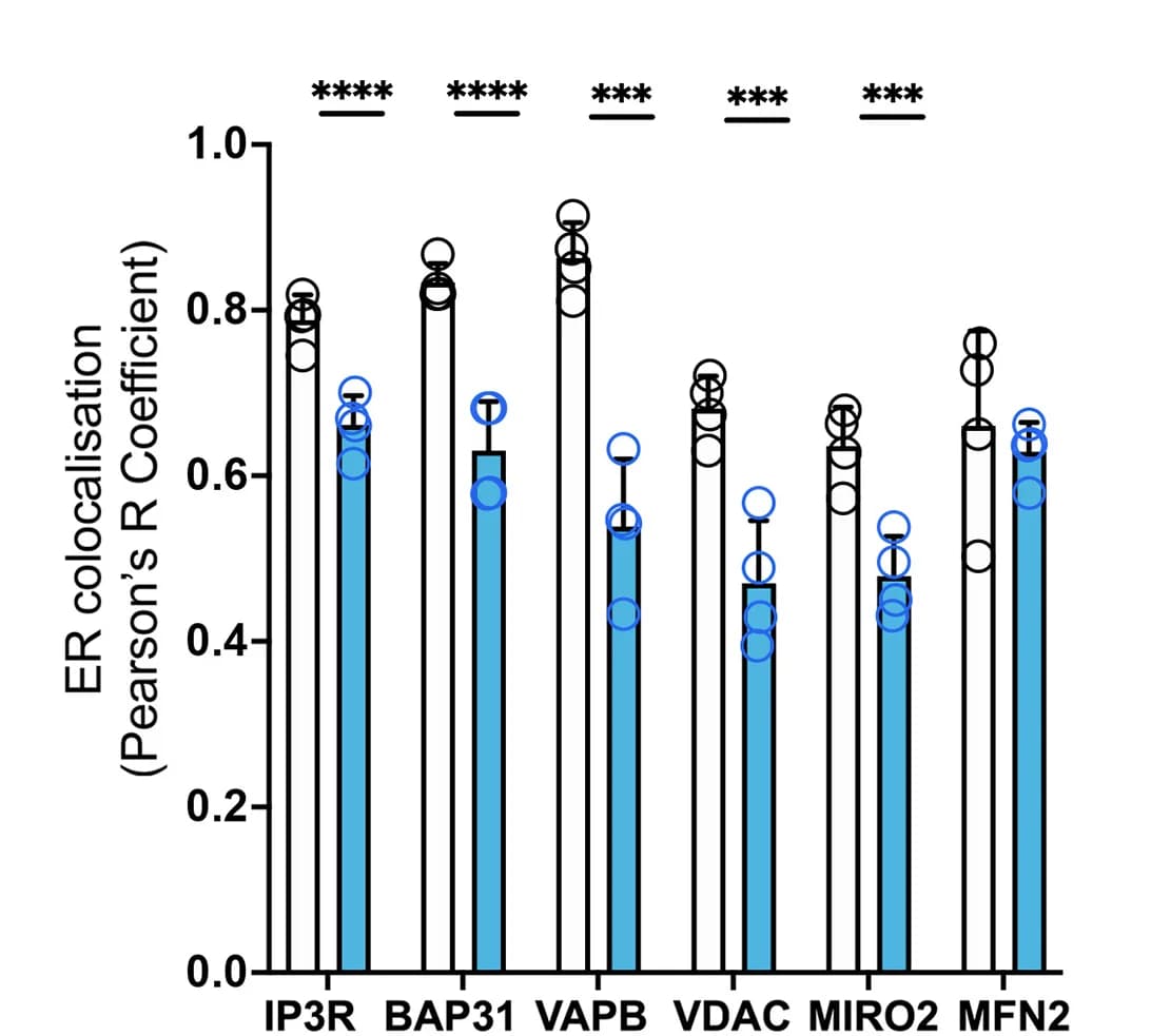 Open access visualization of Bar Plot, Error Bars, Scatter Plot, MERC-associated Proteins, COPA
