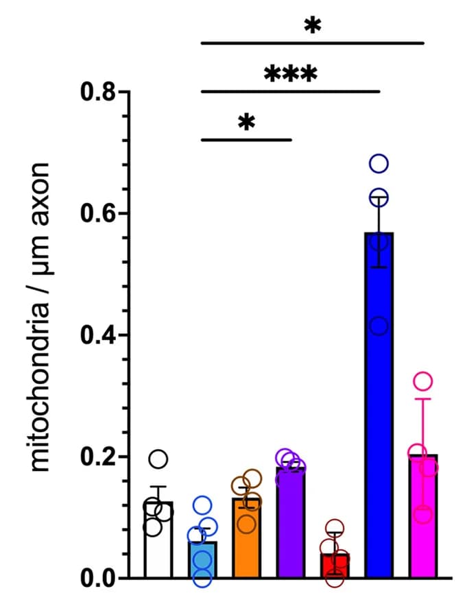 Open access visualization of Bar Plot, Error Bars, Scatter Plot, MERCS, Mitochondria