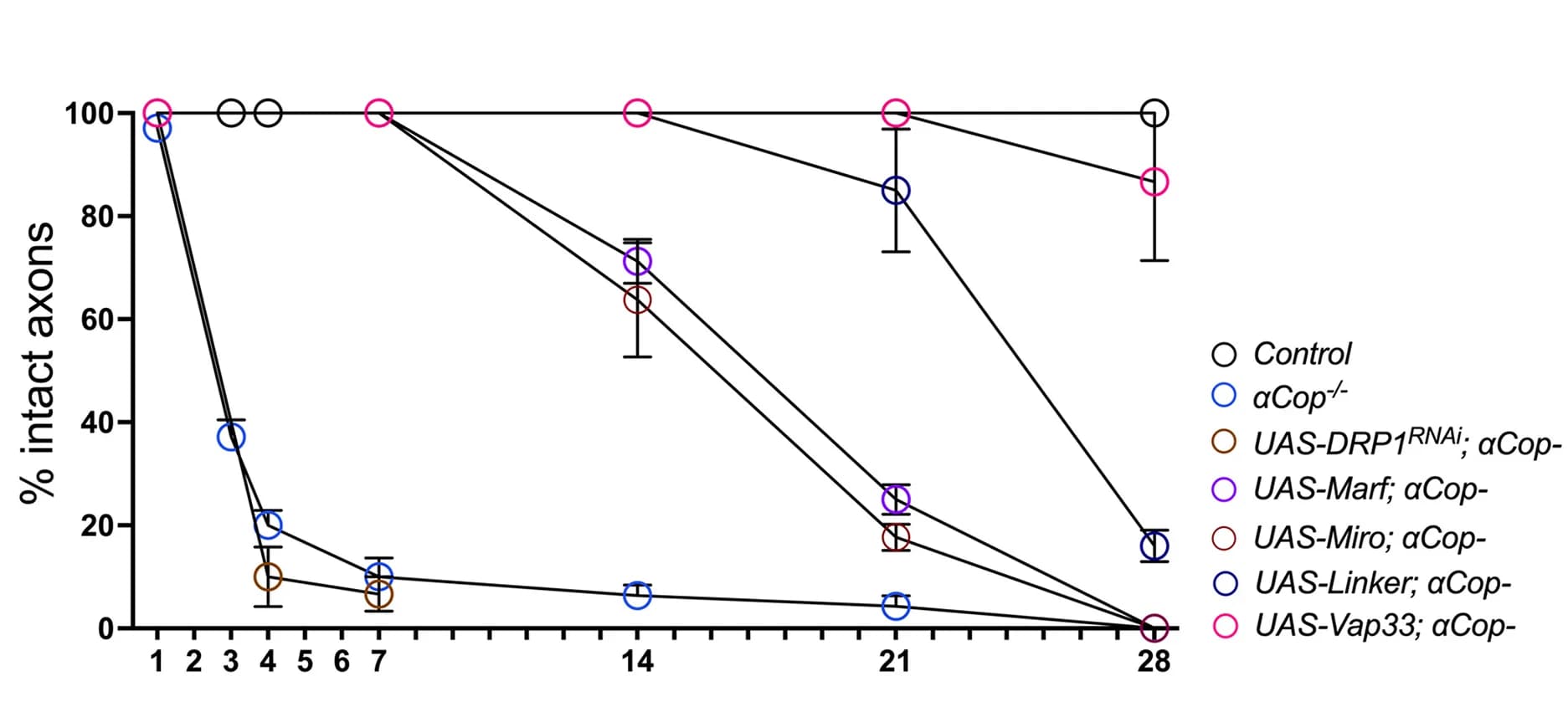 Open access visualization of Line Plot, Error Bars, MERCS formation, Neuroprotection, Neurons