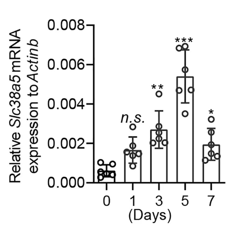 Open access visualization of Bar Plot, Error Bars, Scatter Plot, Wild-type Mice, IMQ Cream