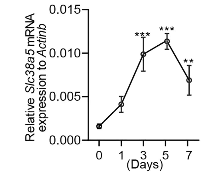 Open access visualization of Line Plot, Error Bars, WT Mice, IMQ Cream, Back Skin