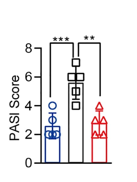 Open access visualization of Bar Plot, Error Bars, Diphtherin, Itgax (CD11c)-DTR Mice, BMDCs