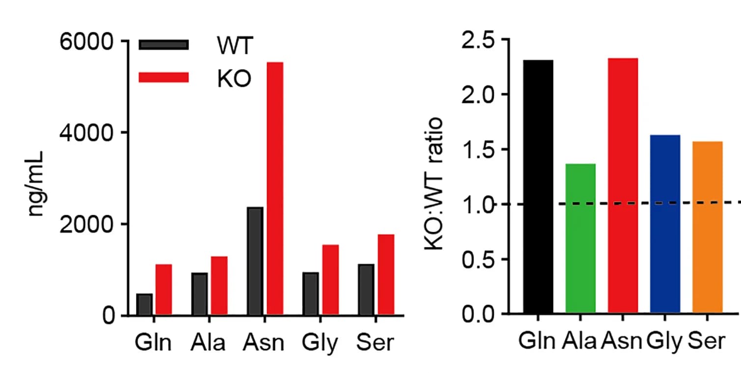 Open access visualization of Bar Plot, Clustered, Lysosomal-Rich Fractions, IMQ treated BMDCs, LC-MS/MS Analysis