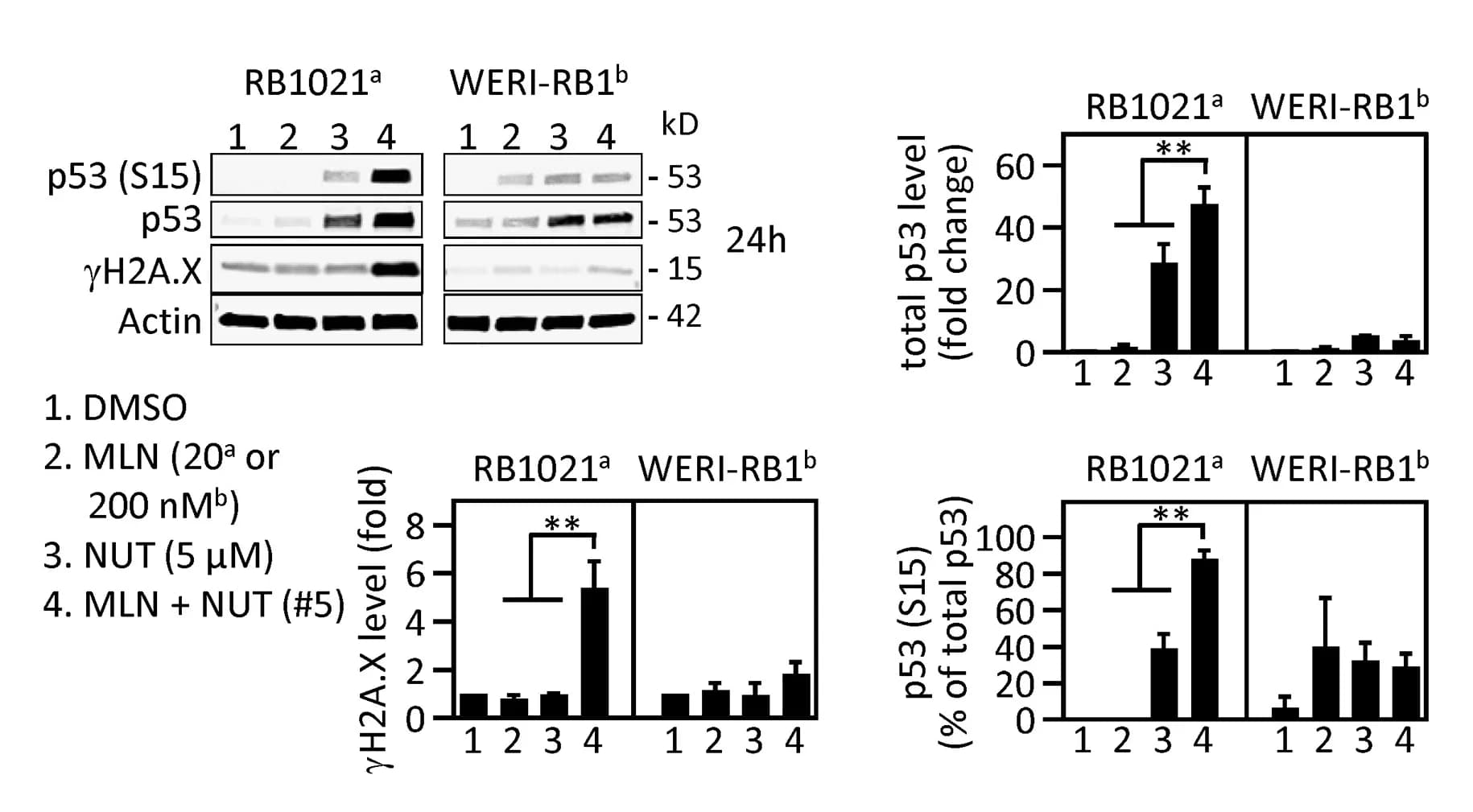 Open access visualization of Bar Plot, Error Bars, Gel, RB Cells, MLN