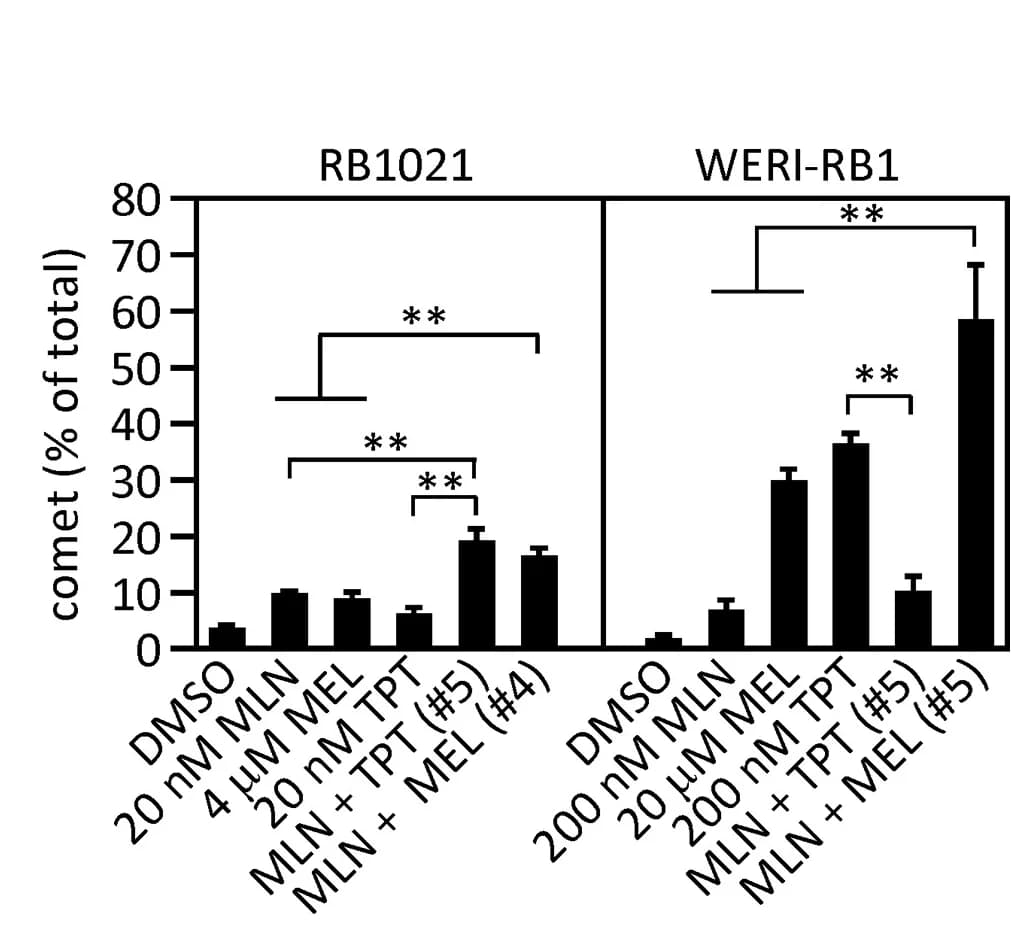 Open access visualization of Bar Plot, Error Bars, RB Cells, DNA Damage, Alkaline Comet Assay