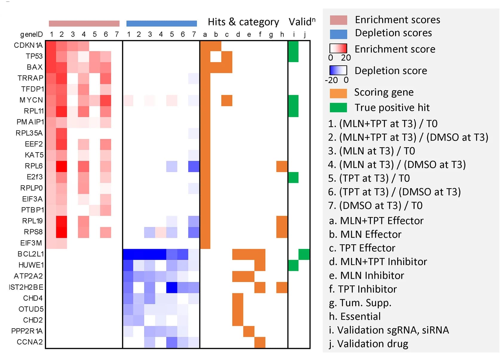 Open access visualization of Heatmap, CRISPR Screen, WERI-RB1 Cells, DMSO, MLN