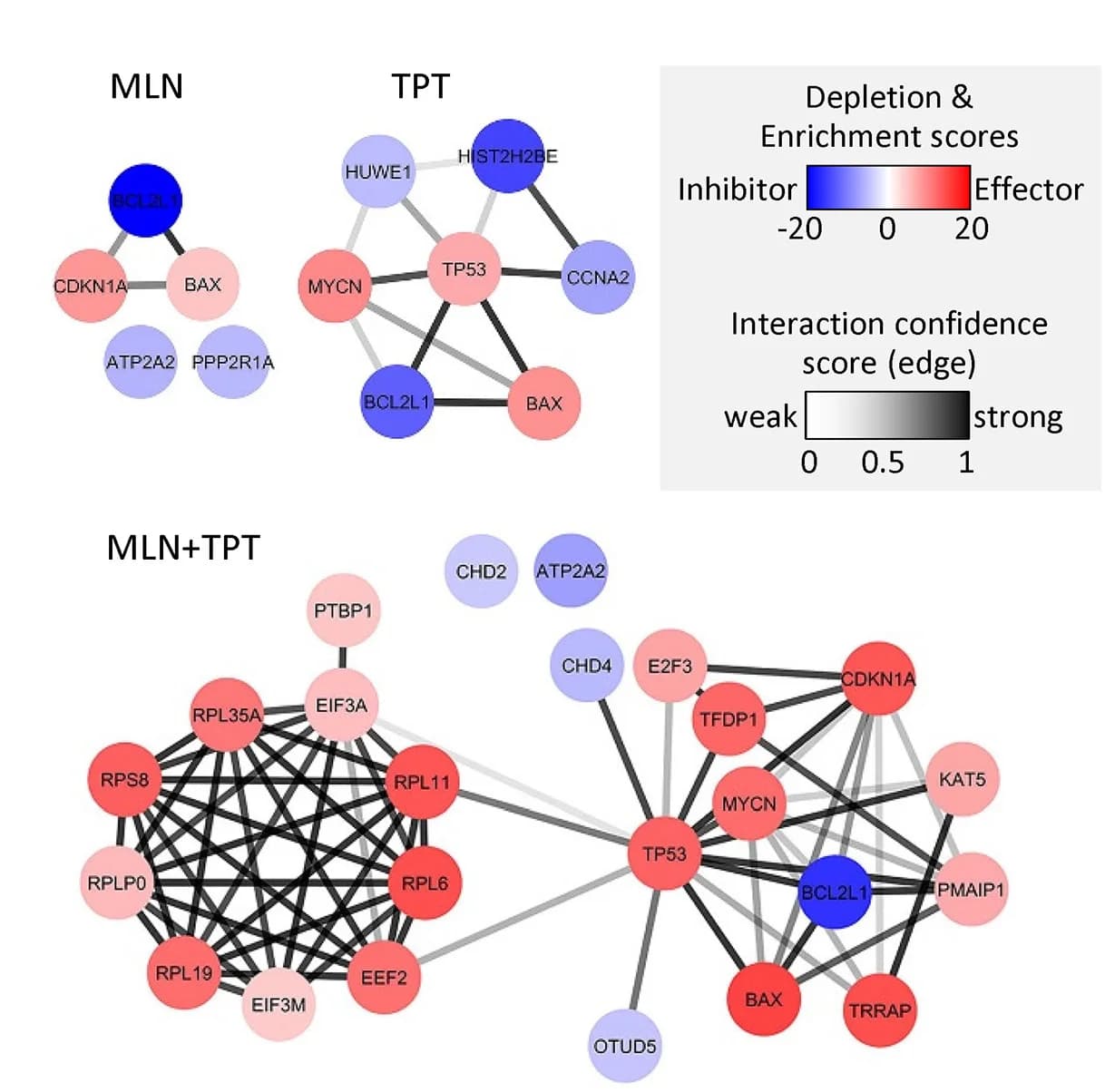 Open access visualization of Network, Pathway, MLN, TPT, Effector Networks
