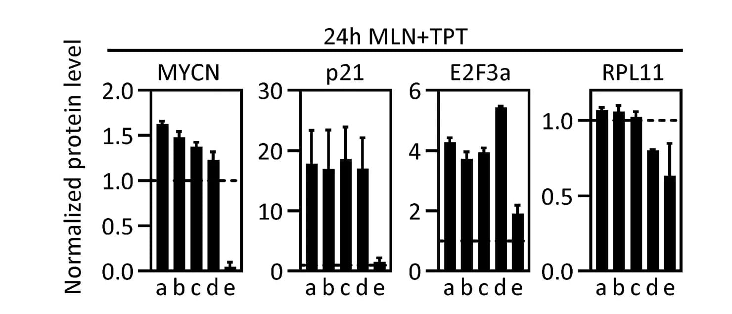 Open access visualization of Bar Plot, Error Bars, WERI-RB1 Cells, MLN, TPT