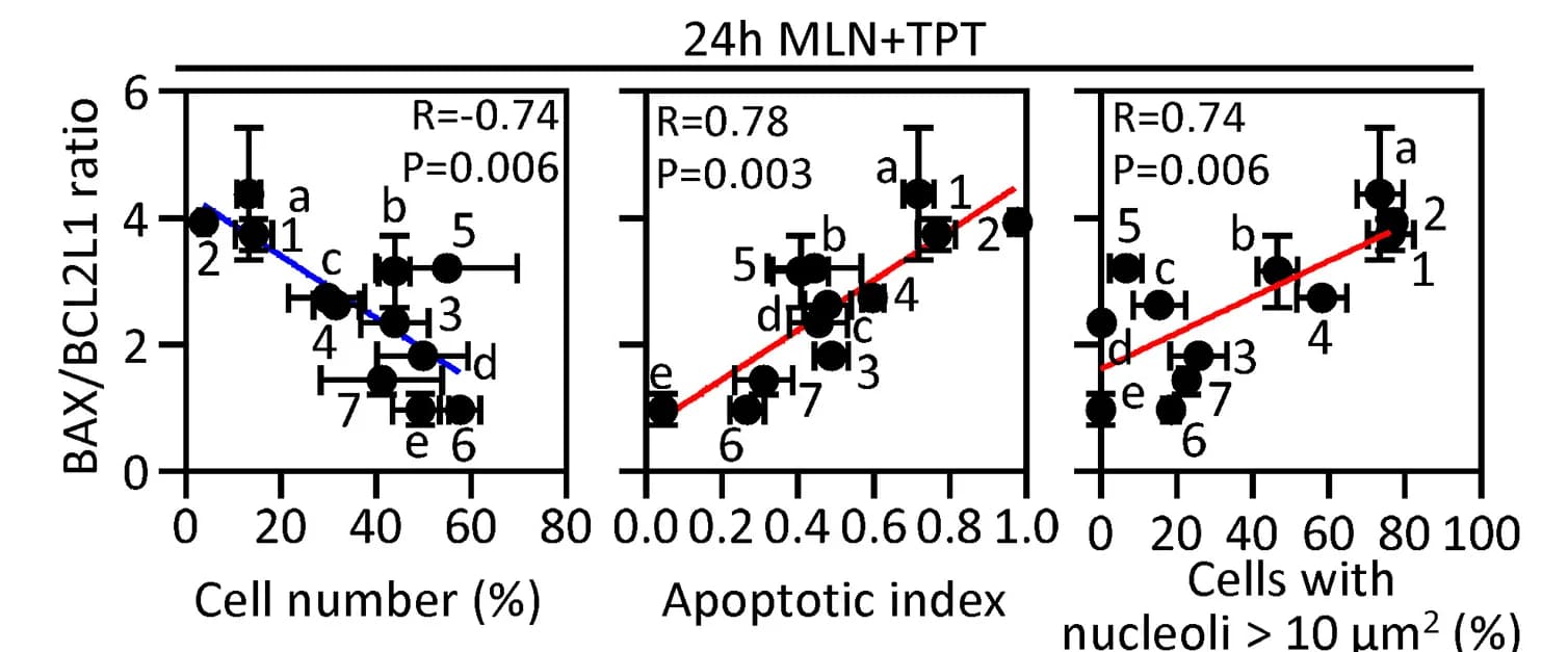Open access visualization of Scatter Plot, Regression Plot, Error Bars, Nucleolar Size, Cell Number