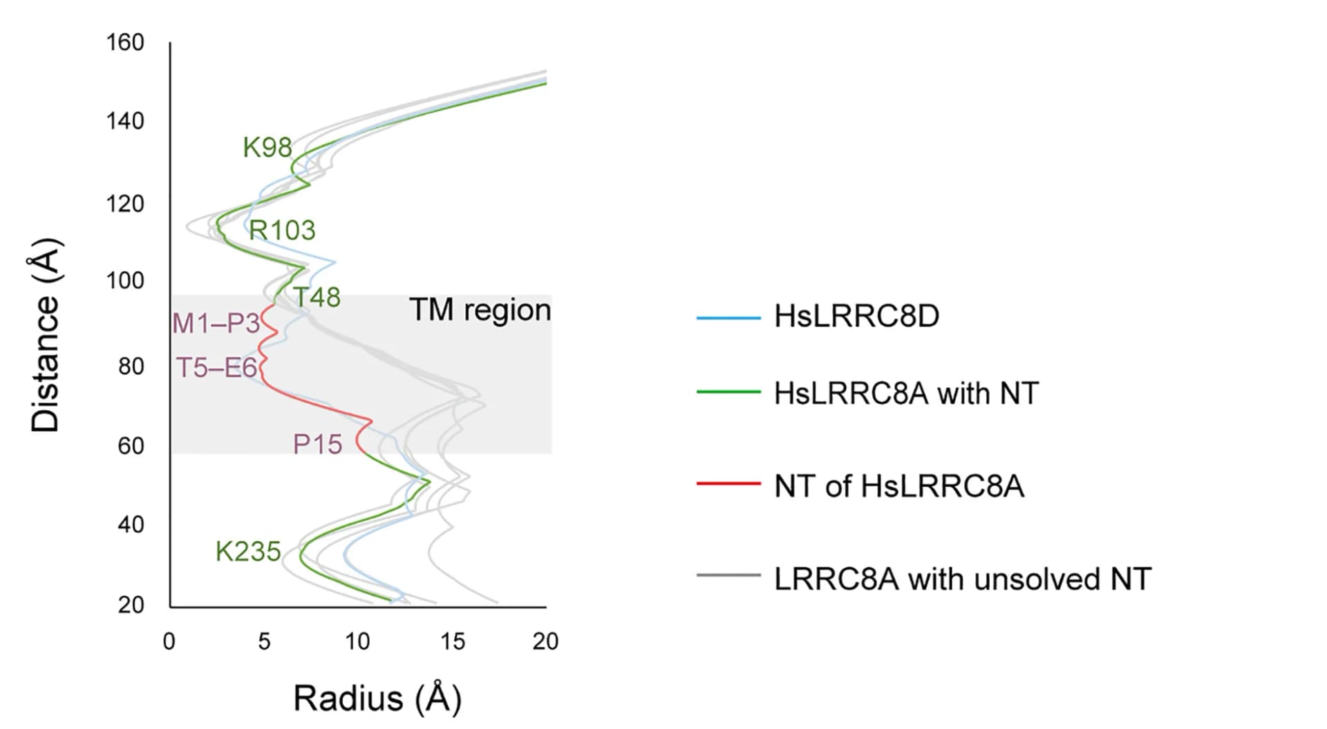 Open access visualization of Line Plot, Pore Radius, Symmetry Axis, PDB Codes, LRRC8A Channels