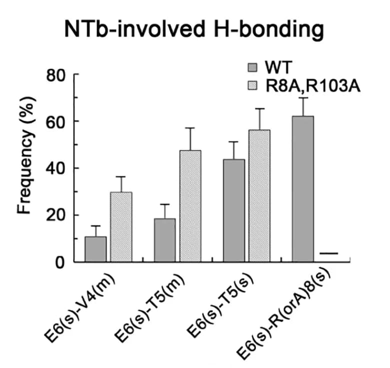 Open access visualization of Bar Plot, Error Bars, Clustered, Hydrogen Bond Interactions, E6